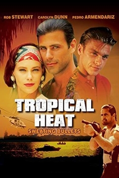 Point de Verão (Tropical Heat) série 1991