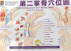 Mapa Acupuntura Do 2º E 5º Metacarpo