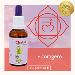 Composto Floral 1º Chakra Básico 30ml - revenda - comprar online