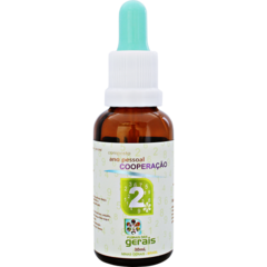 Composto Floral Ano Pessoal 2 Cooperação 30ml