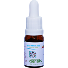 Essência Estoque Morangueiro (Fragaria vesca) 10ml