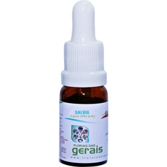 ESSÊNCIA ESTOQUE SALVIA (SALVIA OFFICINALIS L.) 10ML