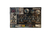 Warhammer - 40K - Thousand Sons Scarab Occult Terminators - comprar online