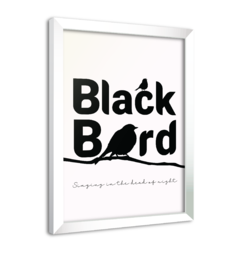 Quadro Poster Decorativo Black Bird The Beatles na internet