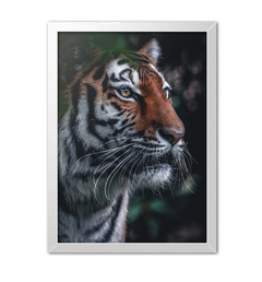 Quadro Poster Decorativo Tigre - Imperium Posters