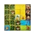 Kingdomino - comprar online