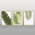 Composição com 3 quadros decorativos Folhas verdes II - comprar online
