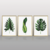 Composição com 3 quadros decorativos Folhas verdes I - comprar online