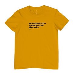 Camiseta Nordestino na internet