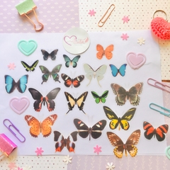 Stickers: Specimen Butterfly de Marymer