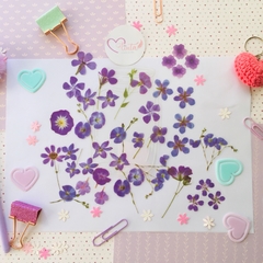 Stickers Retro Dried Flowers Violetas de Marymer