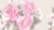 Tecido Tricoline Floral Grande Rosa e Bege Fernando Maluhy (35000C03) - 0,5m x 1,50m - comprar online