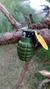 encendedor recargable granada de piña - tienda online