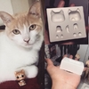 Molde pet cat P coleção Pop Biscuit - comprar online