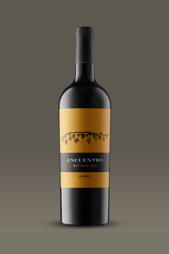 Encuentro Malbec - Bodega Rutini Wines - comprar online