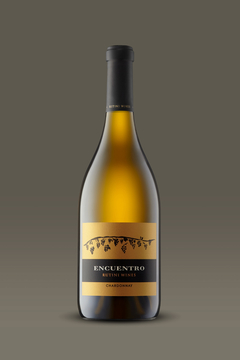 Encuentro Chardonnay - Rutini Wines - comprar online