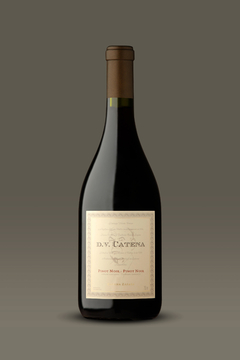 DV Catena Pinot Noir - Catena Zapata - comprar online