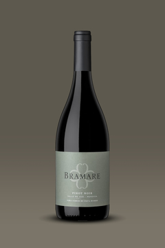 Bramare Pinot Noir - Valle de Uco - comprar online