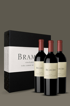 Bramare VD Chañares Malbec - Estuche x 3U. - comprar online