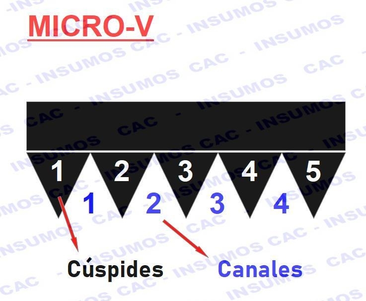 Correa Micro-v 150j / 381 x5 Cúspides Gates