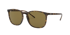 Rayban RB4387 710/73 LIGTH HAVANA