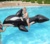 Orca Inflable - comprar online