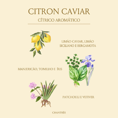 Óleo perfumado Citron Caviar 10 ml - comprar online