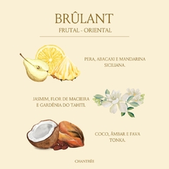 ODORIZANTE EM SPRAY BRÛLANT 330 ML - comprar online