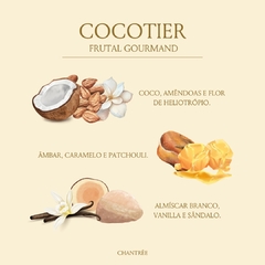 Vela Perfumada Cocotier 220g na internet