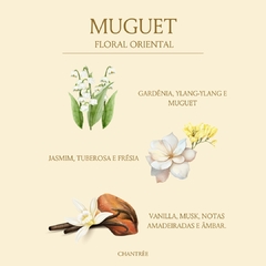 Água para tecidos Muguet 500 ml - comprar online