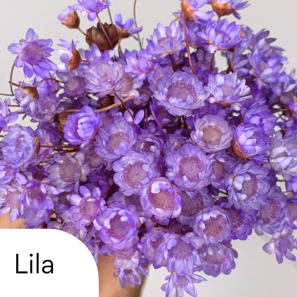 Flores secas Diamantinas para resina color LILA (30 florcitas)