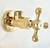 Registro Dourado Ouro Vintage para Ducha Higiênica e Vaso 60140G2 - comprar online