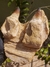 Dente de Mosassauro Fóssil REF130 na internet