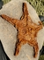 Estrela-do-mar Fóssil Ordoviciano (Asteroidea) REF014 - loja online