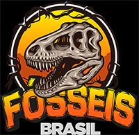 Fósseis Brasil
