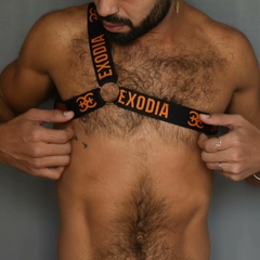 Body Harness 3 Pontas