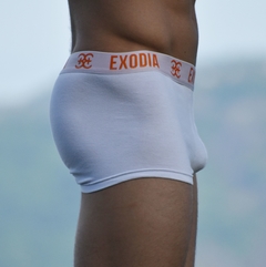 Cuecas boxer em algodäo - EXODIA RIO BEACHWEAR