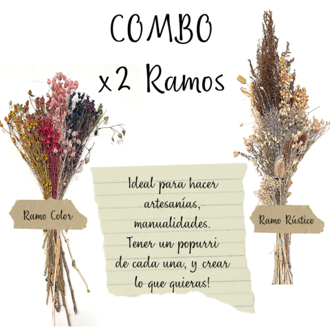 COMBO X 2 Ramos