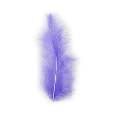 Plumas de Gallo Chico x 50 unidades - comprar online