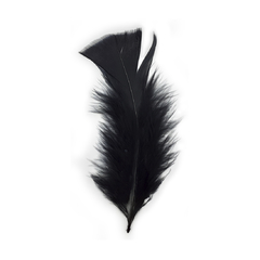 Plumas de Gallo Chico x 50 unidades - comprar online