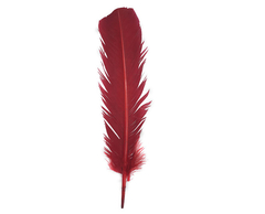 Plumas Pato Uniforme x 10 unidades