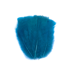 Plumas de Gallo Grande x 50 unidades - comprar online