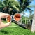 Óculos Ipanema - Polarizado - Transparente espelhado na internet