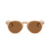 Óculos Ipanema - Marrom - Polarizado - comprar online