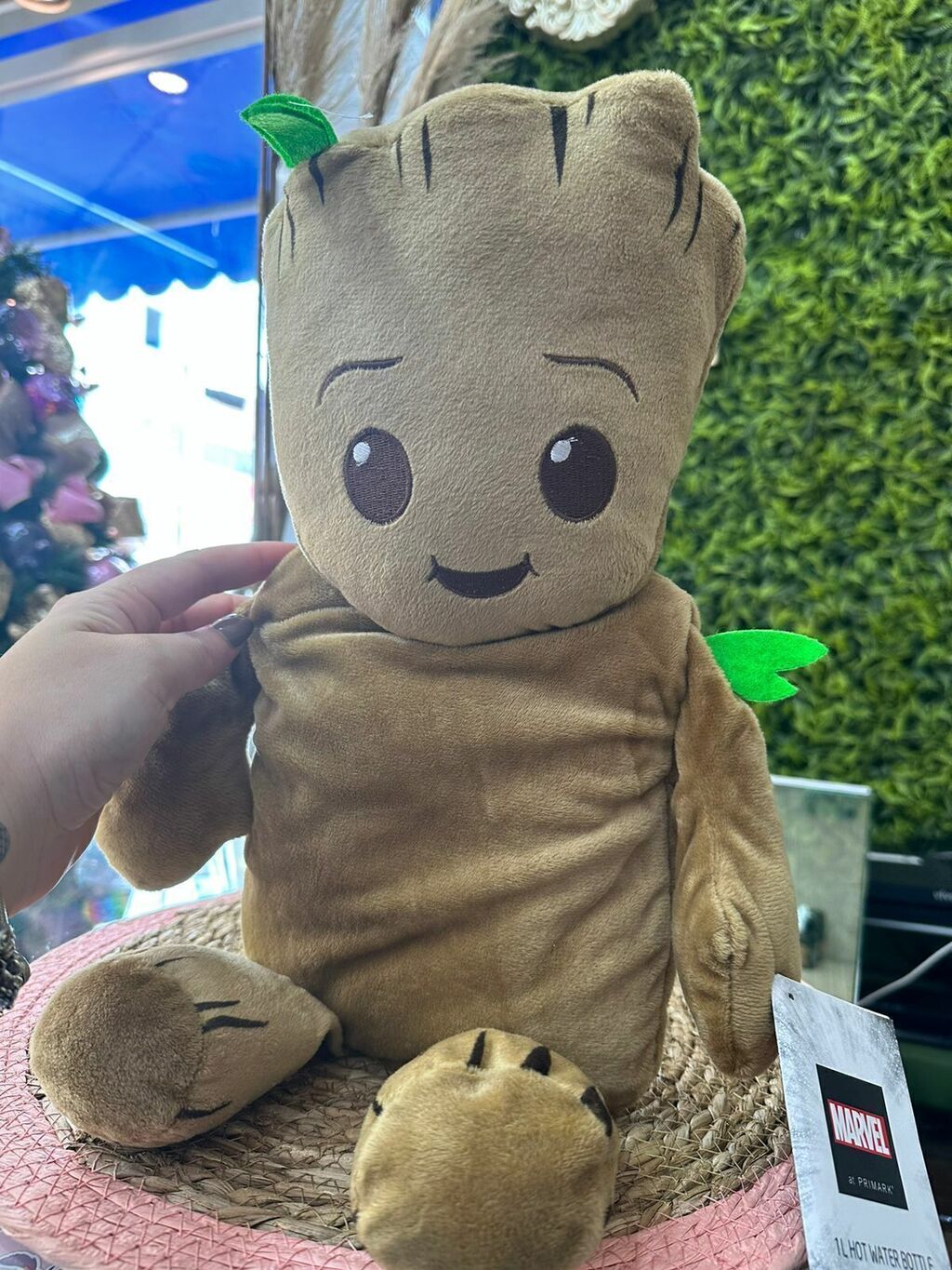 Bolsa de gua quente pel cia Groot
