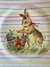 Jogo de 6 Pratos Rasos de jantar - Color Rabbits - comprar online
