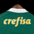 Camisa-Titular-Palmeiras-Puma-24-25-Verde-Masculina-Torcedor-Crefisa-Verdão-Allianz-Parque-Porco-Abel-Ferreira