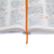A Bíblia das Descobertas: Capa Ilustrada Rosa - NTLH - comprar online