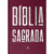 Bíblia Sagrada NVI - Pedra Angular (Capa Dura)