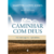 Caminhar com Deus - David Martyn Lloyd Jones